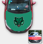 Binghamton Bearcats NCAA Car Auto Hood Engine Cover Protector