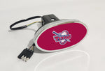 Detroit Titans NCAA Hitch Cover LED Brake Light for Trailer