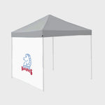 Fairleigh Dickinson Knights NCAA Outdoor Tent Side Panel Canopy Wall Panels