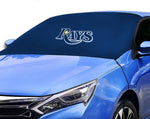 Tampa Bay Rays MLB Car SUV Front Windshield Snow Cover Sunshade