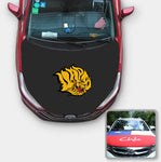 UAPB Golden Lions NCAA Car Auto Hood Engine Cover Protector