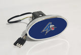 UNC Asheville Bulldogs NCAA Hitch Cover LED Brake Light for Trailer
